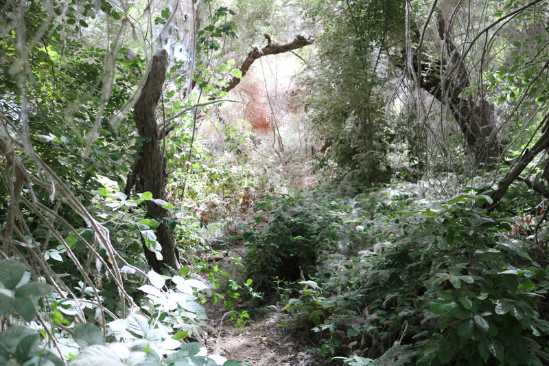 Illustration for article titled Lost Lake Park Photodump.